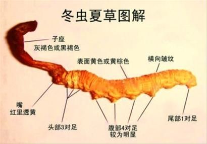 点此在新窗口浏览图片